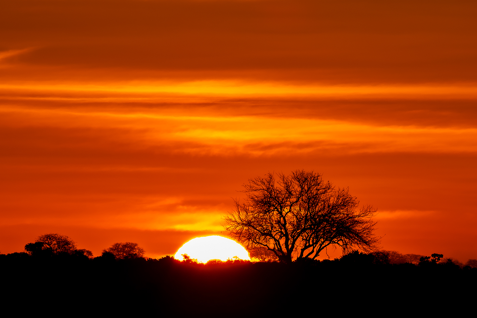 Tsavo au levée du jour